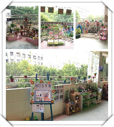 春暖花開，綠樹成蔭——遠(yuǎn)恒佳公明第二幼兒園自然觀察角大比拼