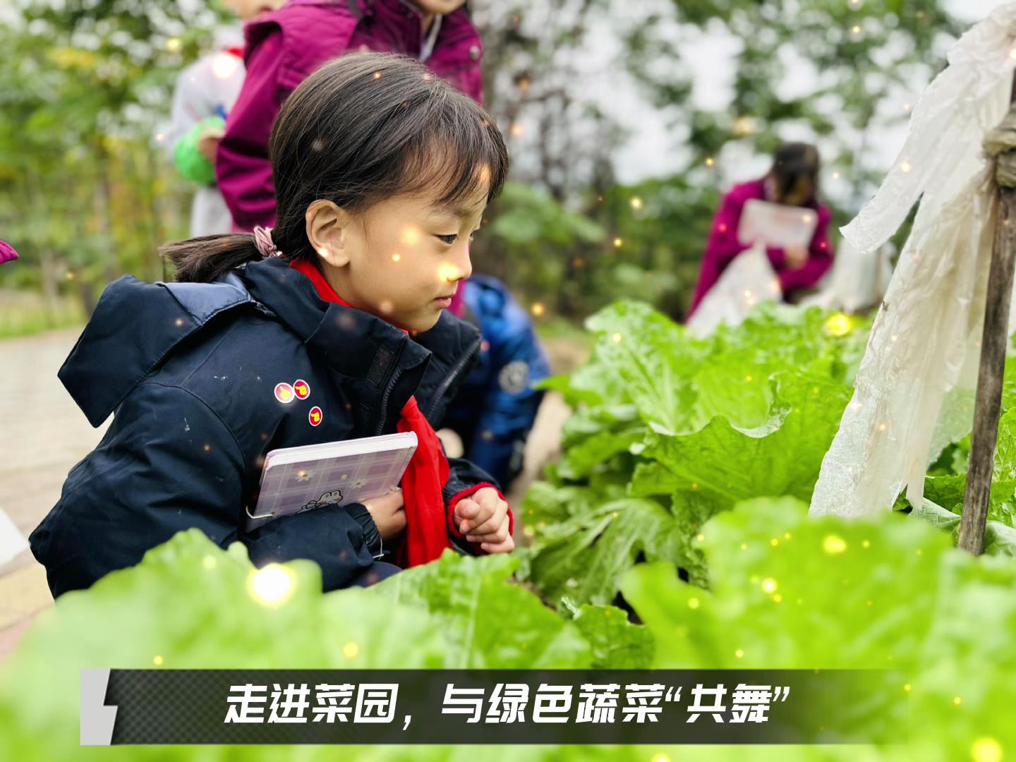 美好學校|留校時光，走出教室，與綠色蔬菜共舞